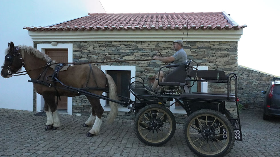 Passeios de charrete