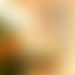 Creating an Effective Marketing Mix: Earned, Paid, and Owned Media