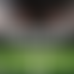 Super Bowl Ads: What Worked, What Didn’t, and Why Brand Still Matters