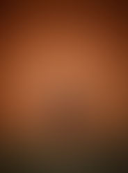 Bridging the Generation Gap: Marketing Strategies for Everyone from Boomers to Gen Z