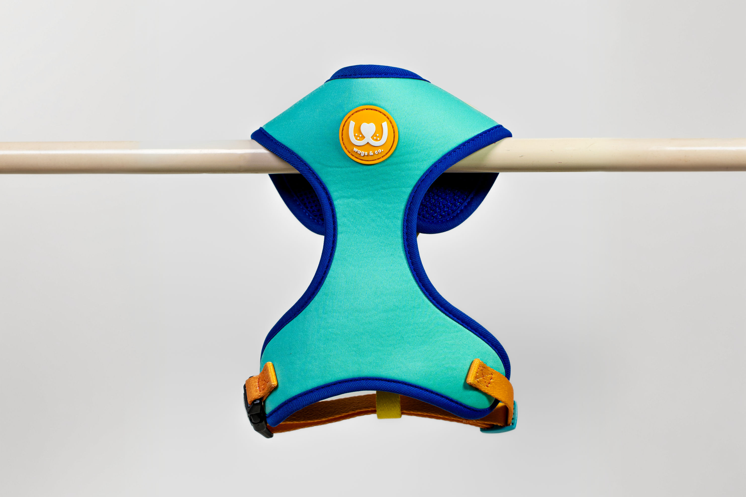 Cloud Tag Harness in Bondi Blue