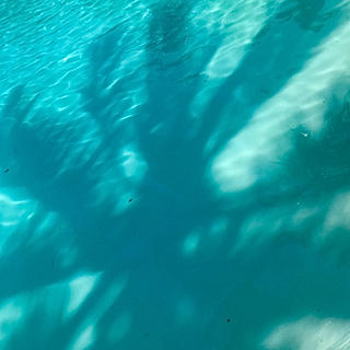 Writer: Olivia Merrick