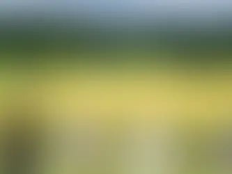 Webサイトを開設しました！！