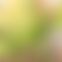 The Money Leaks Hiding in Your Apparel Brand