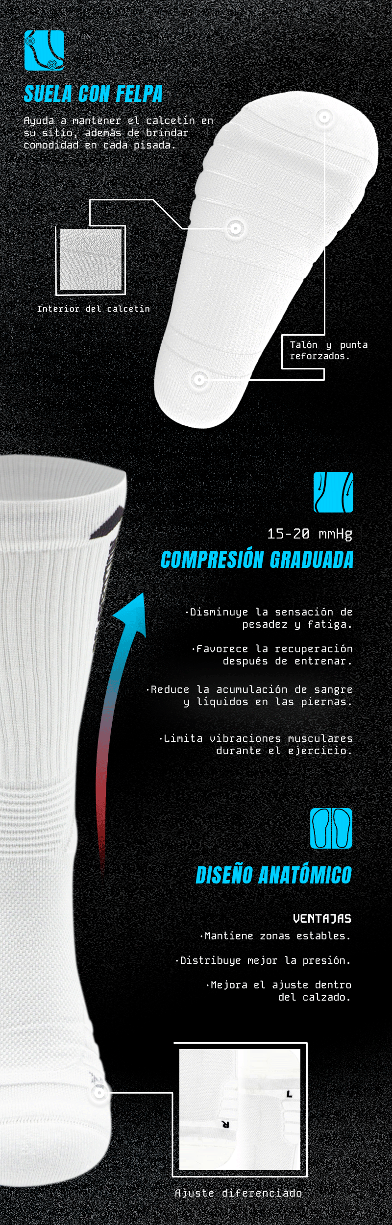 Infografia-general_01.png