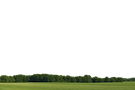 PARTIAL BACKGROUND.png