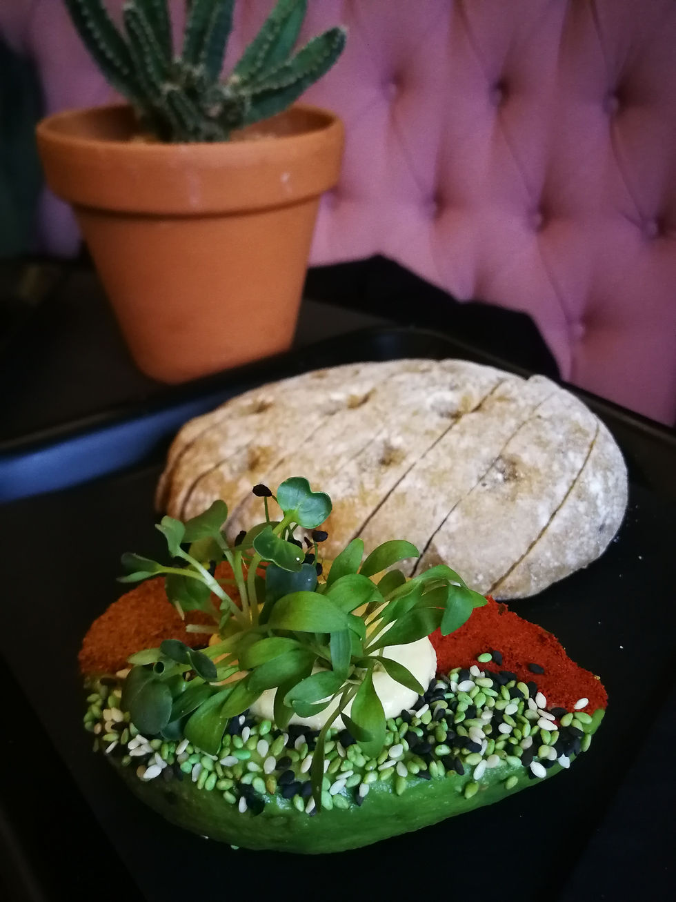 theavocado1