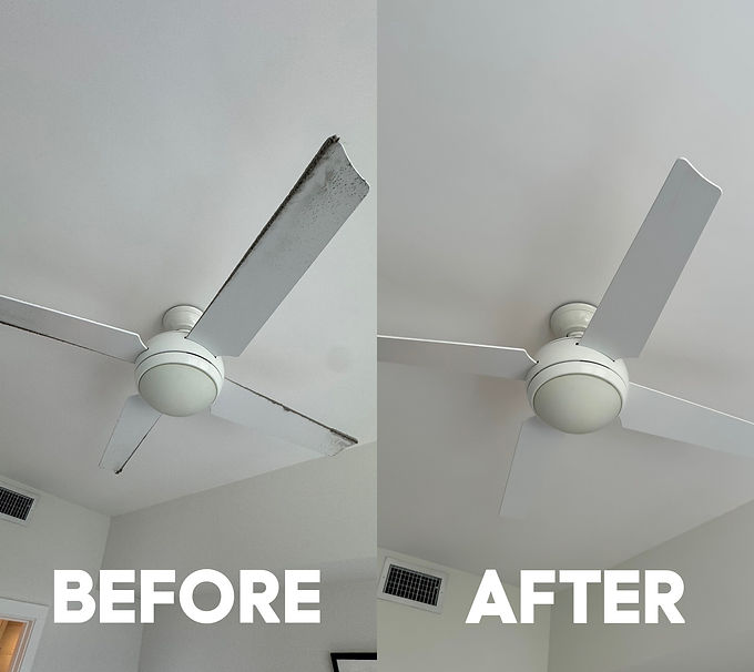 fan before and after.jpg