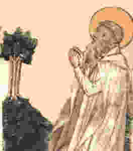 commenda-3
