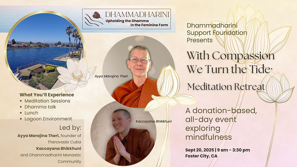 With Compassion, We Turn the Tide