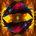 Cape Cover.png