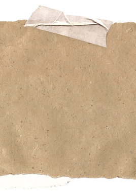 Untitled design (5)_edited_edited.png