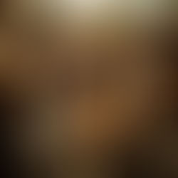 La Mejor Comida para Cachorro es BARF