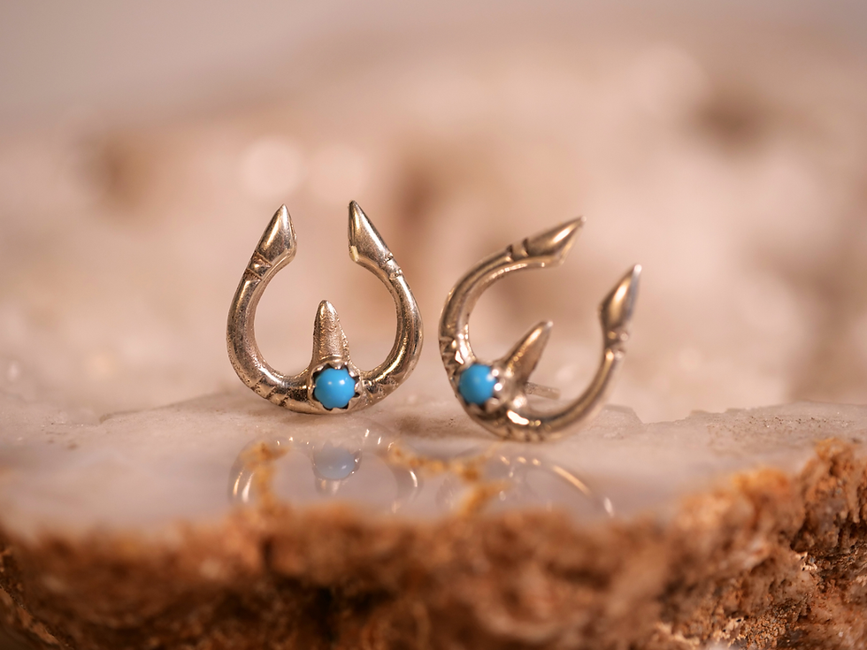 Thumbnail: horseshoe jewelry, lucky charm earrings, silver earrings with turquoise, western earrings for women,
