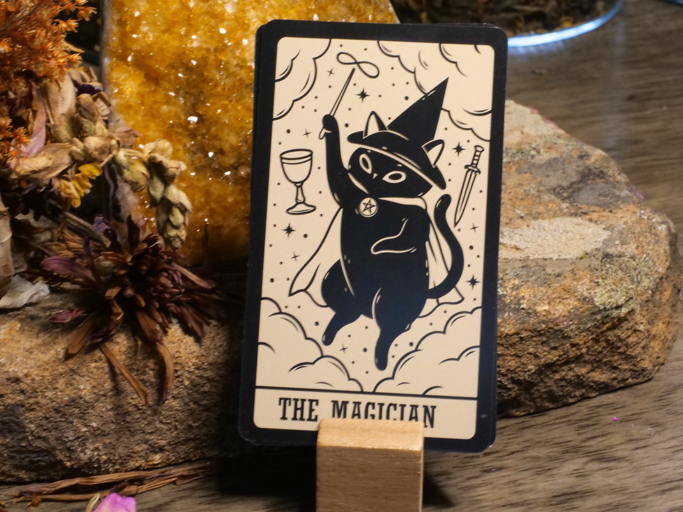Thumbnail: Kitten Tarot