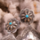 Thumbnail: large western earrings, bold turquoise earrings, southwestern jewelry, boho turquoise earrings,