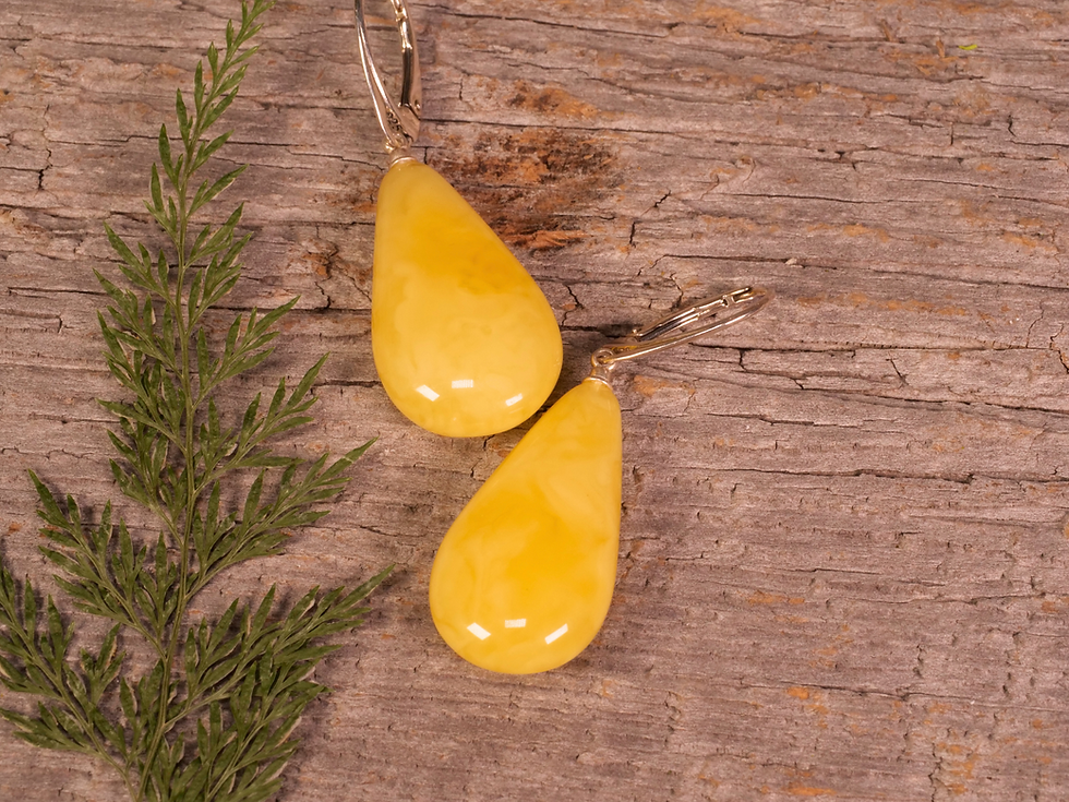 Thumbnail: Amber Earrings