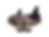 amethyst, amethyst crystal, amethyst geode, amethyst cluster, amethyst stone, amethyst quartz, purple