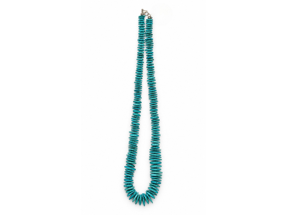 Thumbnail: turquoise statement strand, long necklace for women, turquoise disk necklace, thin turquoise disc beads, elongated gemstone