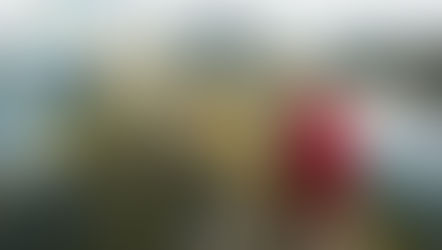 Walking the Leadership Path