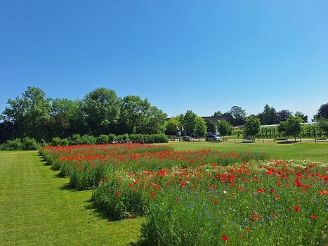 Garden Supply legt demoveld in PIBO Tongeren aan met gras- en bloemenmengsels | Garden Supply