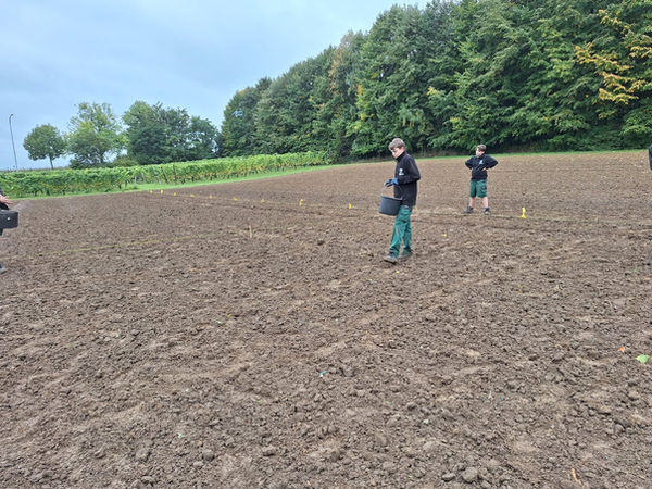 Garden Supply legt demoveld in PIBO Tongeren aan met gras- en bloemenmengsels | Garden Supply