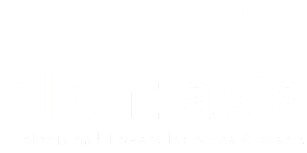 Interieurbeplanting & eventdecoratie België | Plant-Axis