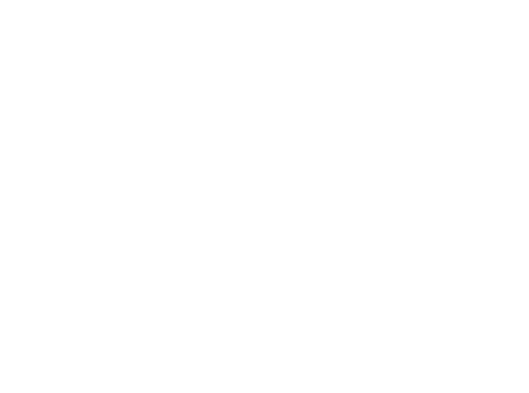 Gedragstherapie & Begeleiding voor Honden Vlaanderen | Delie Dog Training