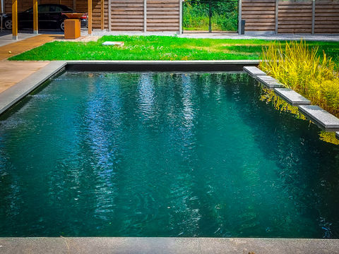 Doe het zelf zwemvijver België | Zelfbouw Zwemvijvers