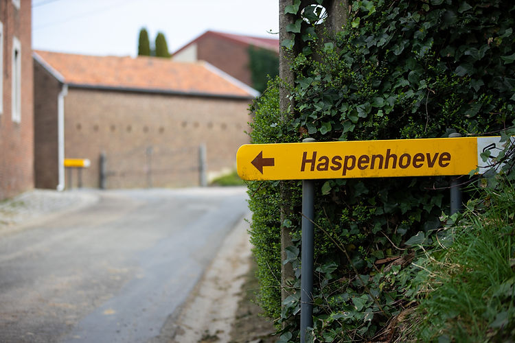 B&B Haspenhoeve in Herstappe bij Tongeren