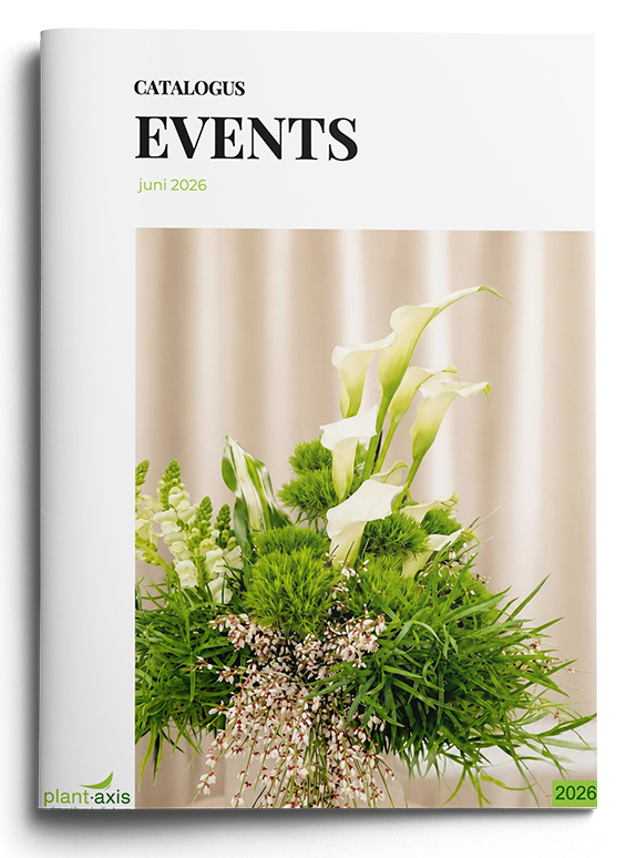 Eventdecoratie België | Plant-Axis
