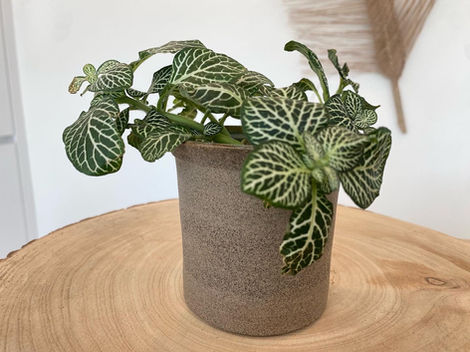 Keramiek Zoersel | Heartmade Ceramics