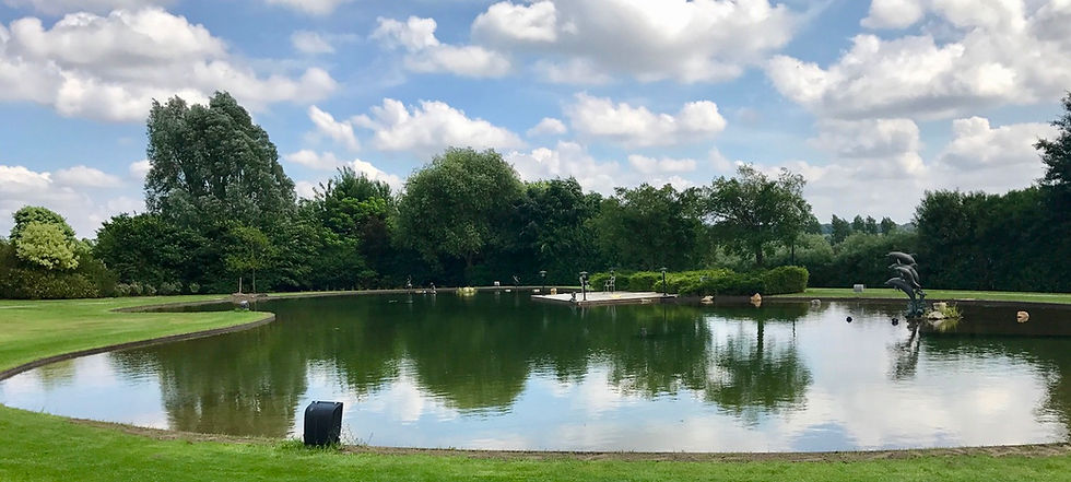 Waterdichting voor zwembaden en zwemvijvers Belgi ë | Ecolining Pondservice