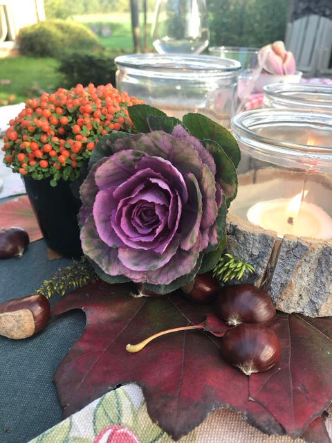 Ceremoniespreker, presentatie & styling in Diest | Madam Memwaar