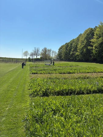 Garden Supply legt demoveld in PIBO 