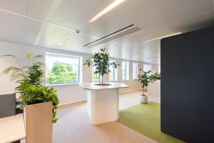 binnentuin-beplanting-kantoren