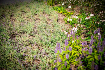 Residentie De Hazelaar - Hasselt