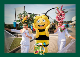 Mobiele photobooth en eventfotograaf van Meerskat die een brand activations verzorgt tijdens de Familiedag van 50 jaar DCM.