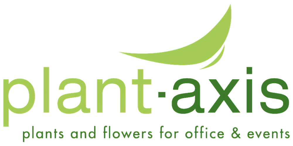 Interieurbeplanting & eventdecoratie België | Plant-Axis