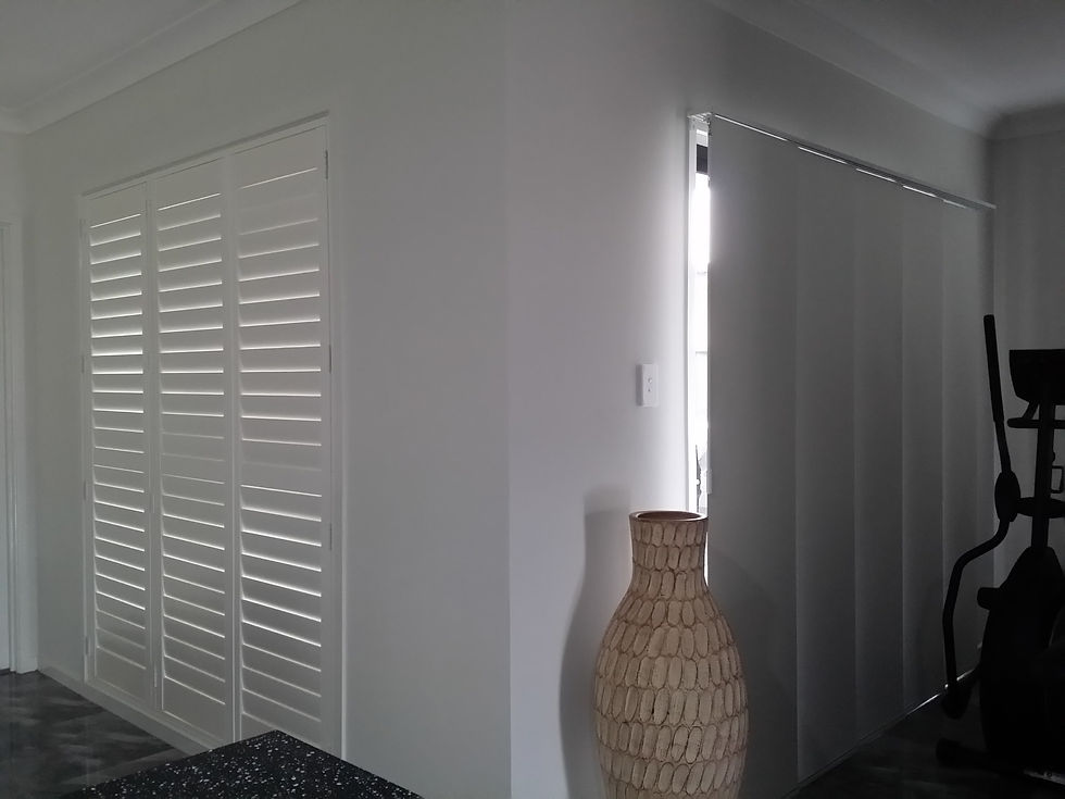 Livingroom (Shutters & Panel blinds)
