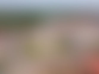 At the Border of History and the Future: The city of Arad in Romania