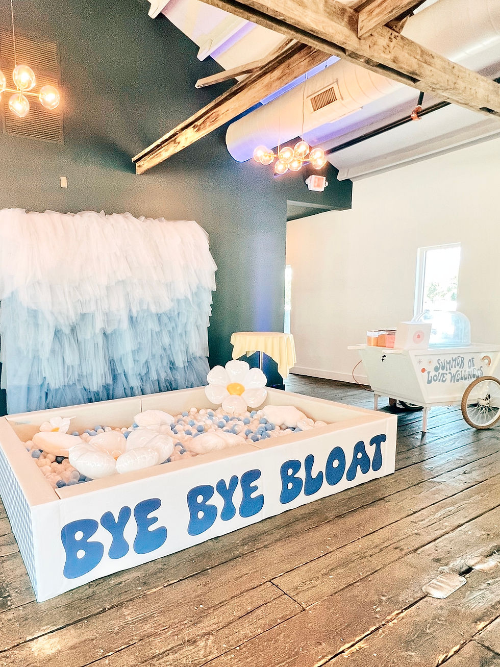 Thumbnail: XL BALL PIT