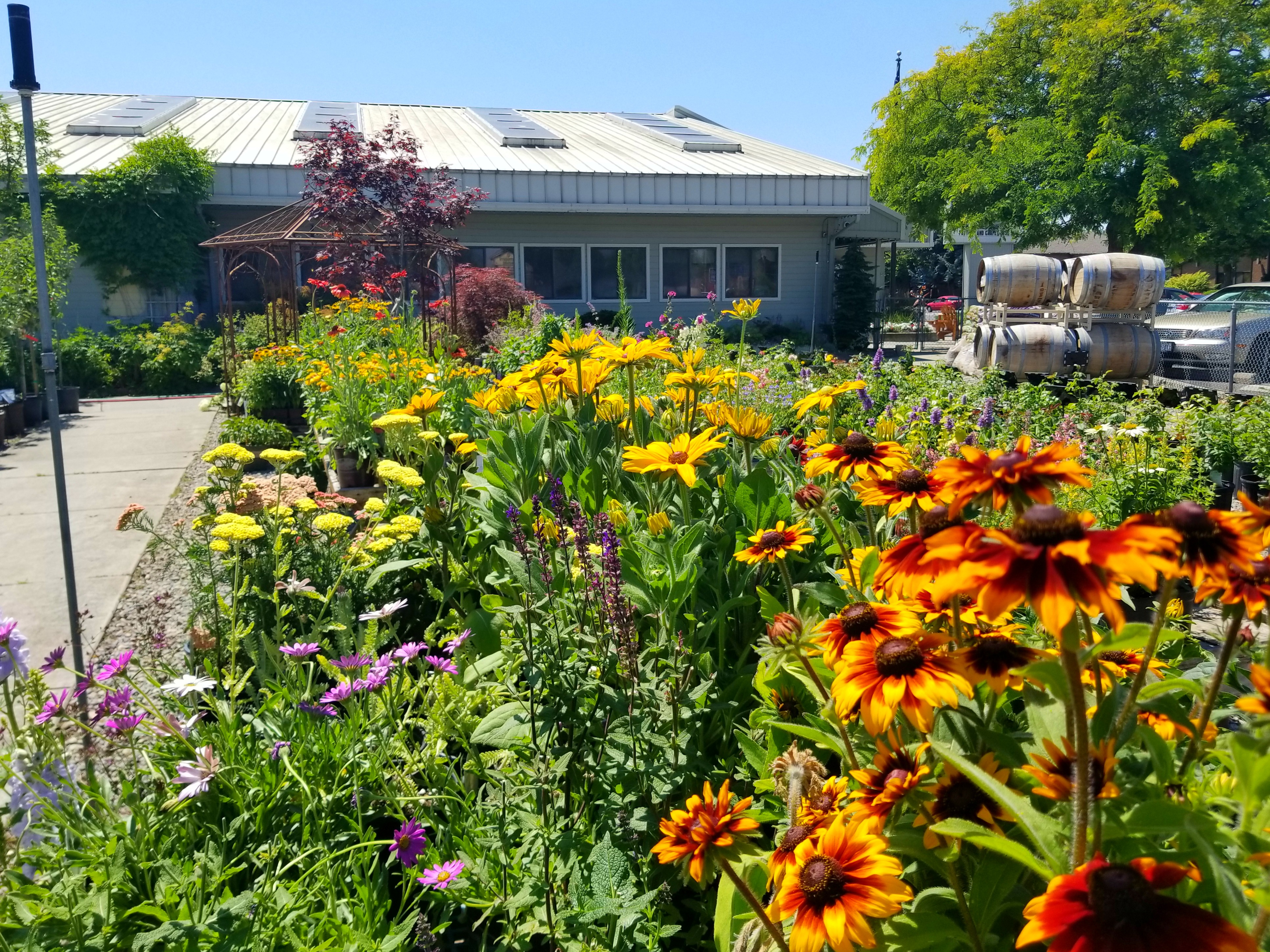 Annuals Perennials Ritters Garden Gift Spokane