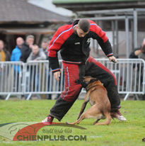 JANGO DU CREUX THATCHER 079.jpg