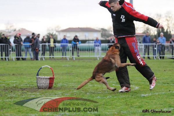 JANGO DU CREUX THATCHER 054.jpg