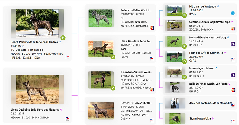 father pedigree.png