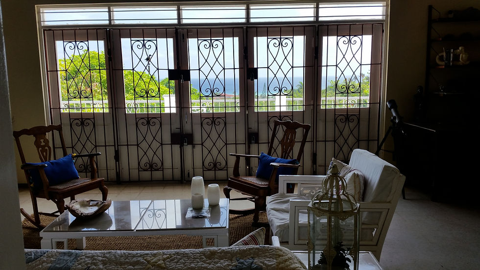 Living Room 1