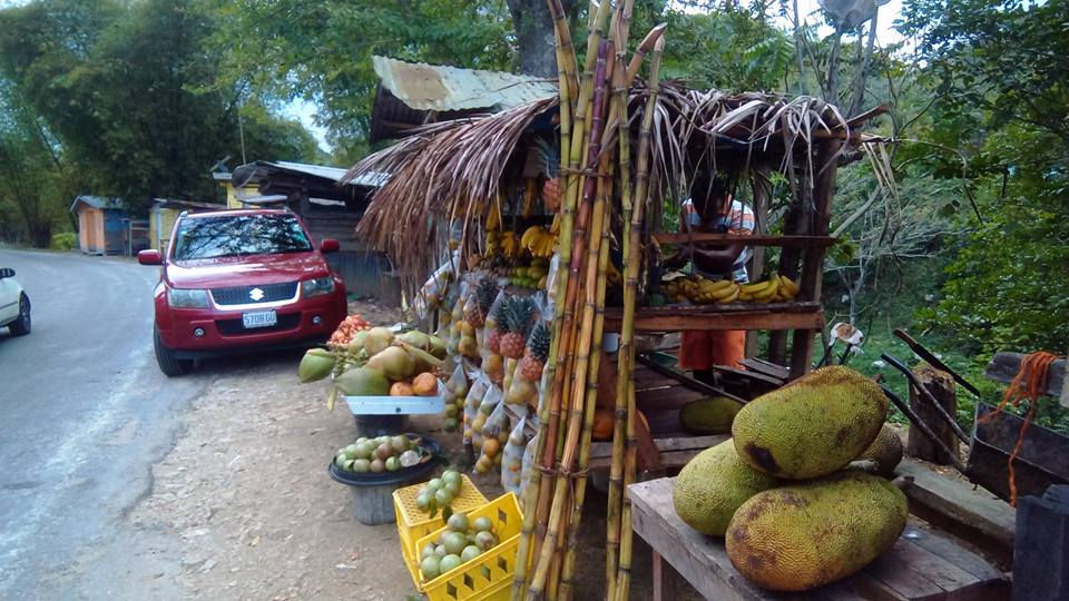 Fruit Stand