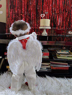 IMG_20190216_121133.jpg