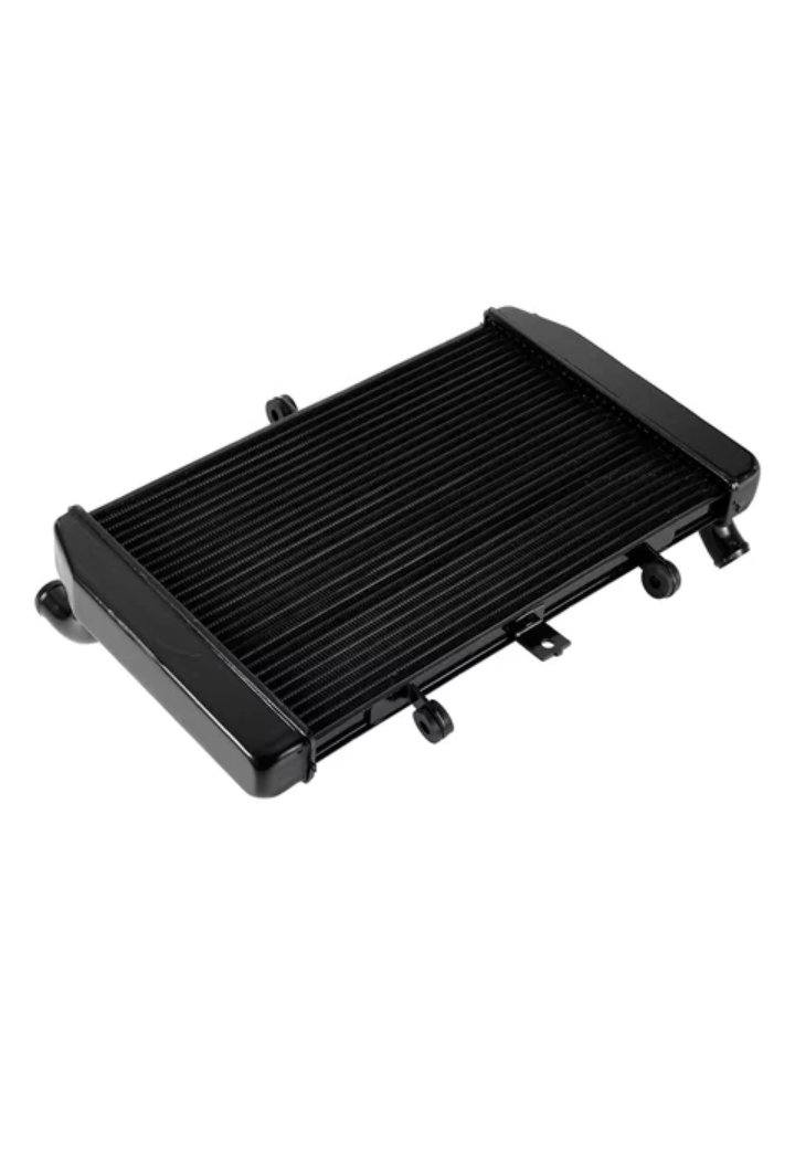 Miniatura: Radiador kawasaki ZX-1000 NINJA